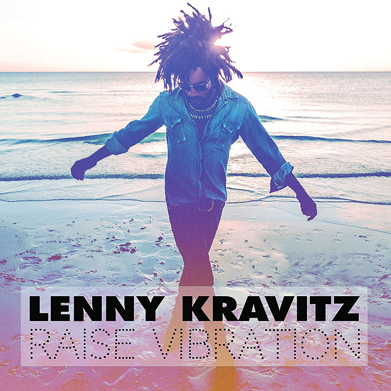 Raise Vibration - Lenny Kravitz (Cover)