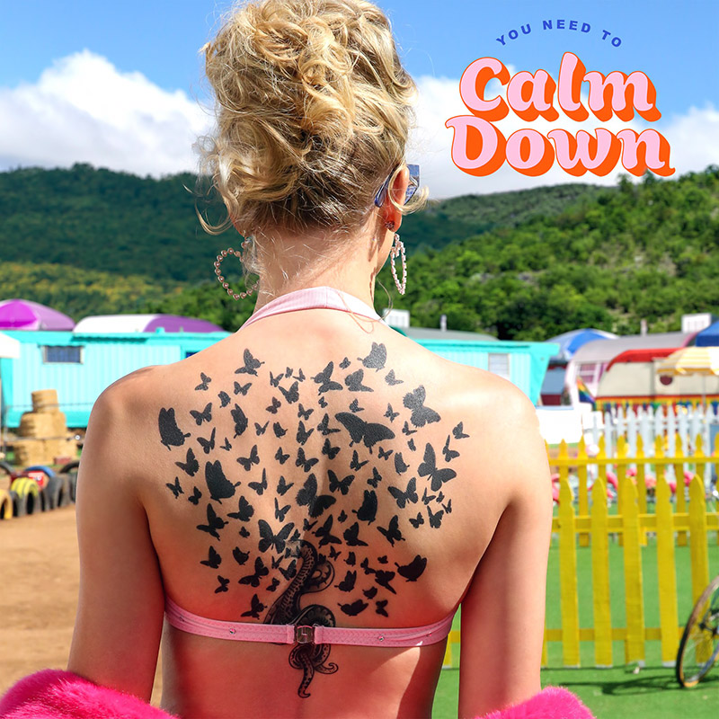 You Need To Calm Down - Taylor Swift (Cover)