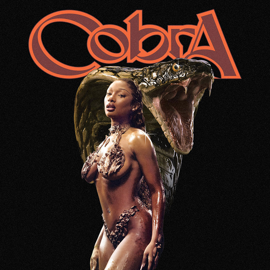 Cobra - Megan Thee Stallion (Cover)