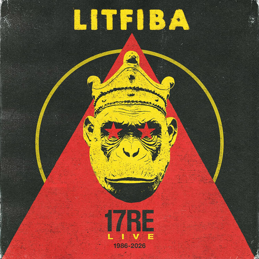 17Re Live - Litfiba (Cover)