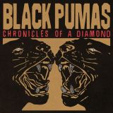 Chronicles Of Diamond - Black Pumas