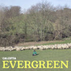 EvergreenCalcutta