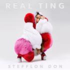 Real TingStefflon Don